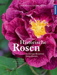 Historische Rosen 